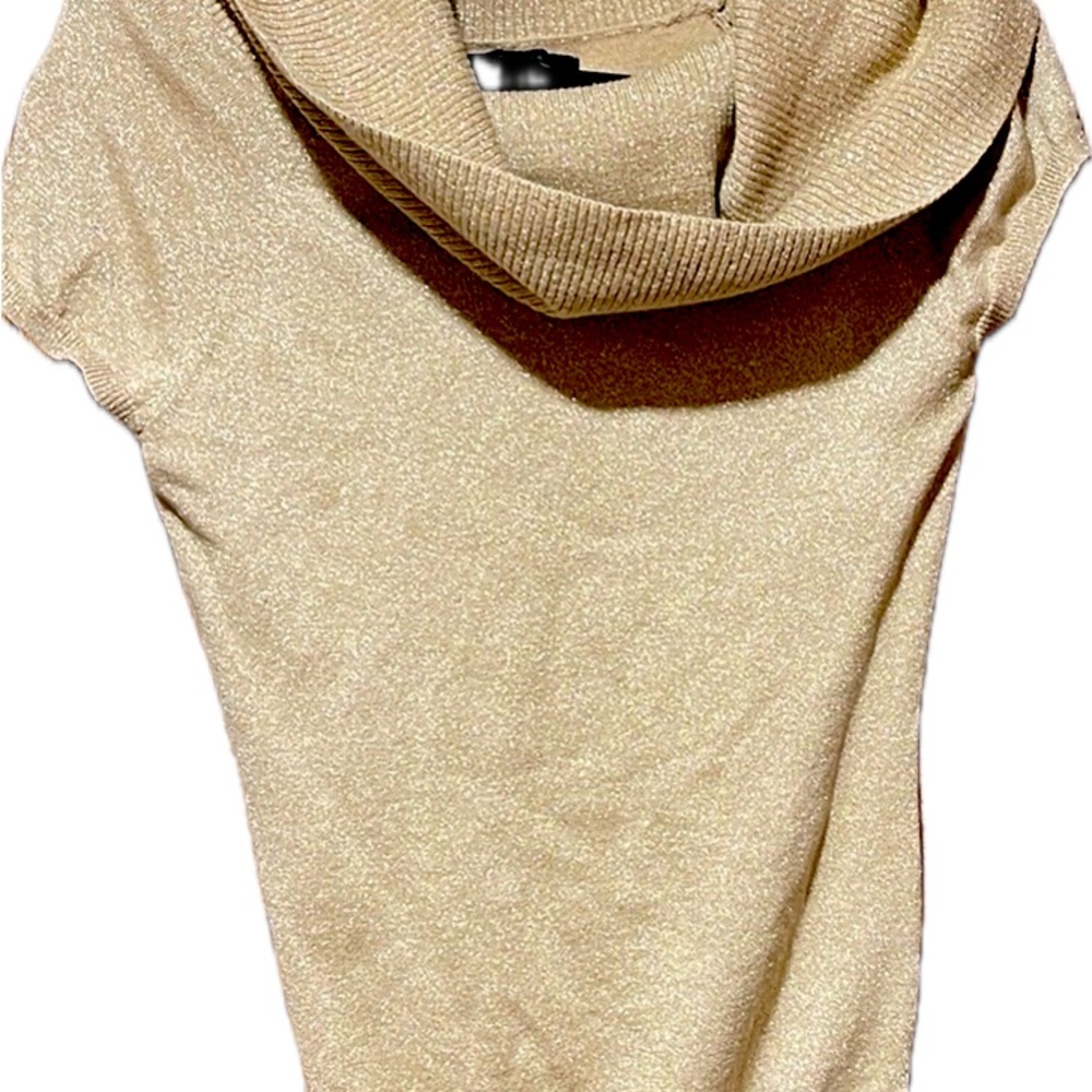 Express size medium shimmer, short sleeve, cowl neck top.
